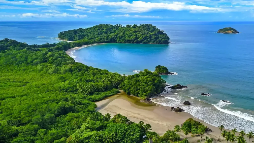 Wildlife in Manuel Antonio National Park near Quepos