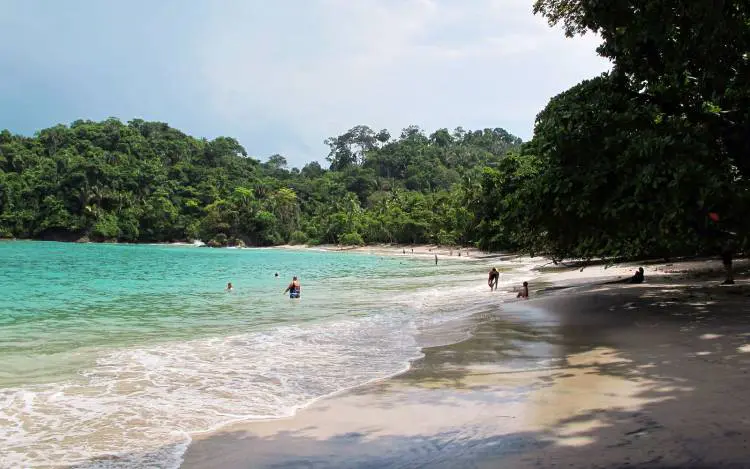 Kayakers exploring Damas Island Mangrove in Quepos