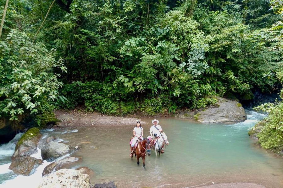 Participants enjoying the Manuel Antonio Horseback Riding tour on a tropical rainforest trail